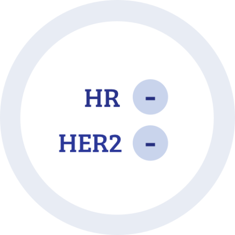 Icon zu Hormonrezeptor negativ HER2 negativ